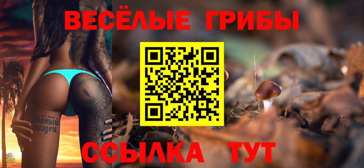 Галлюциногенные грибы Cubensis Новочебоксарск
