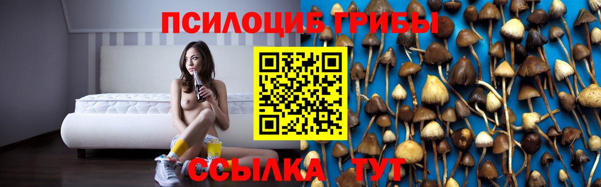 Галлюциногенные грибы прущие грибы  где купить наркотик  Вход с VPN  Новочебоксарск  Галлюциногенные грибы ЛСД 